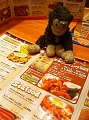 TYO_Hooters (3)b